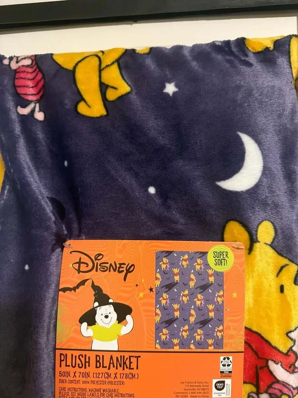 Disney Winnie the Pooh and Piglet Halloween Purple Plush Blanket 50x70